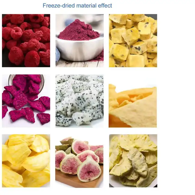 

Mini Freeze Drying Machine Stainless Steel 220V/380V/110V Multifunctional Home Commercial Use For Food Pets Lyophilizer