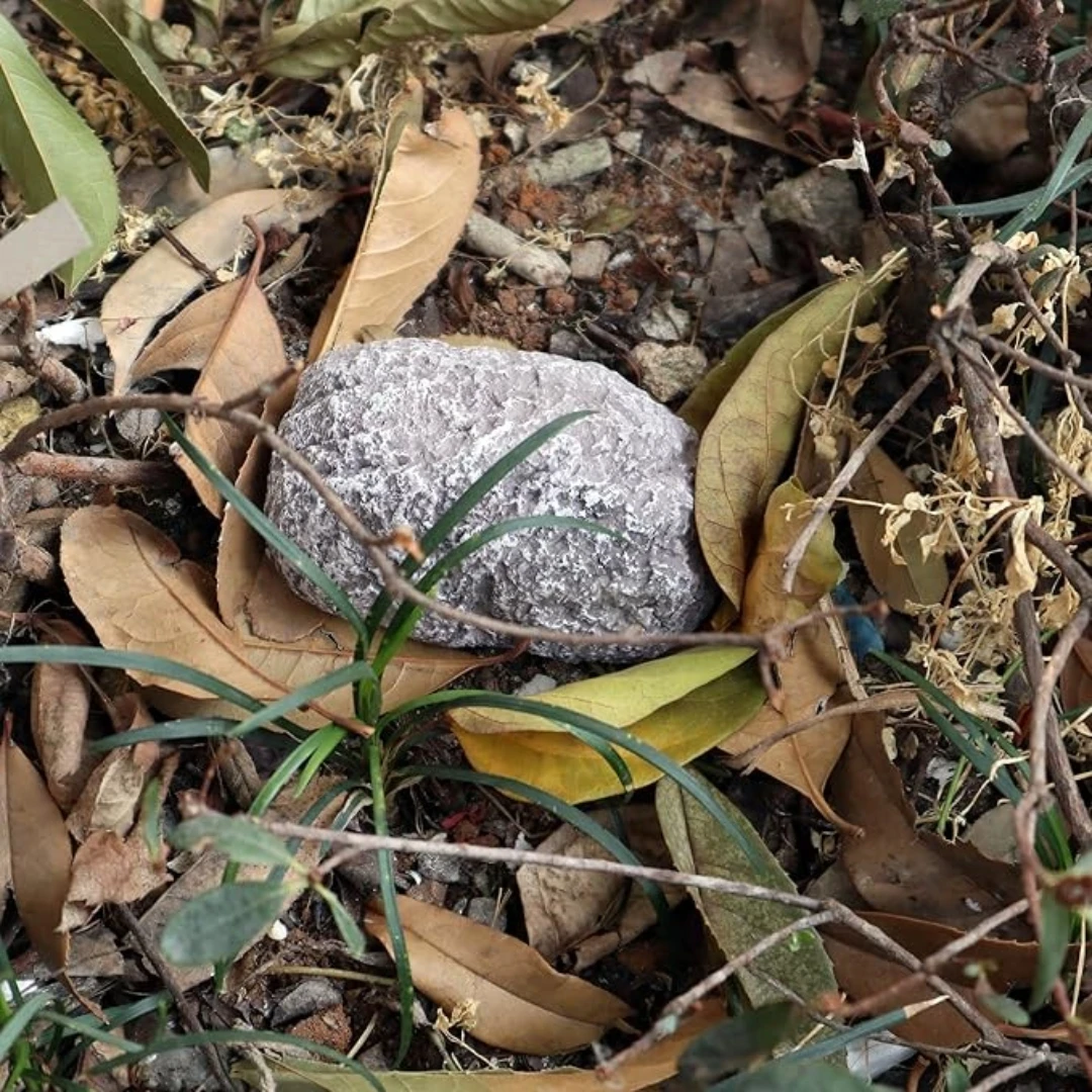 إخفاء مفتاح الصخور الحجر وهمية الغيار مفتاح إخفاء Geocache حاوية التخزين السرية تبدو تحويل حقيقي آمنة للحديقة الخارجية S #4