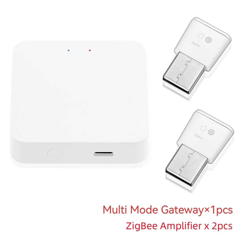 Variant: 2Amplifier 1Gateway