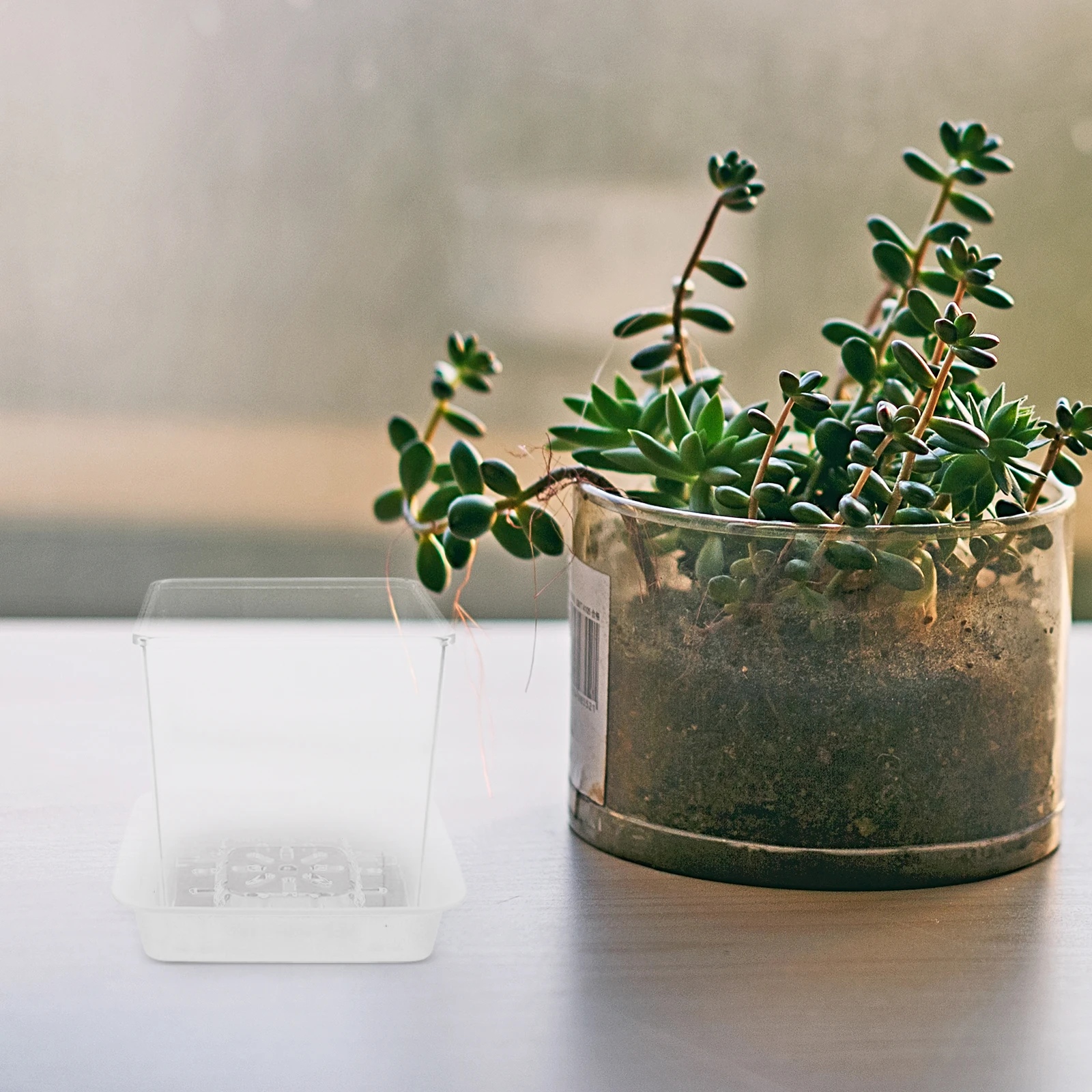 

1 set Mini Plant Nursery Hydroponic Small Flower Planter Nursery Pot for Clear Planter Pot With Drainage Home School