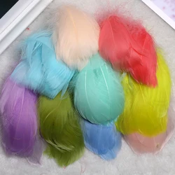 100 Pcs / Lot 5-10 Cm Small Floating Goose Feather Colourful Feather for Wedding Party Clothing Decoration Diy Craft Feathers