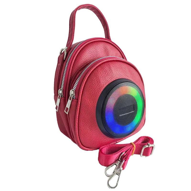 Borsa per altoparlante portatile Borsa a tracolla Qualità audio Hi-Fi Borsa per suono per motociclismo leggera e impermeabile per passeggiate in città