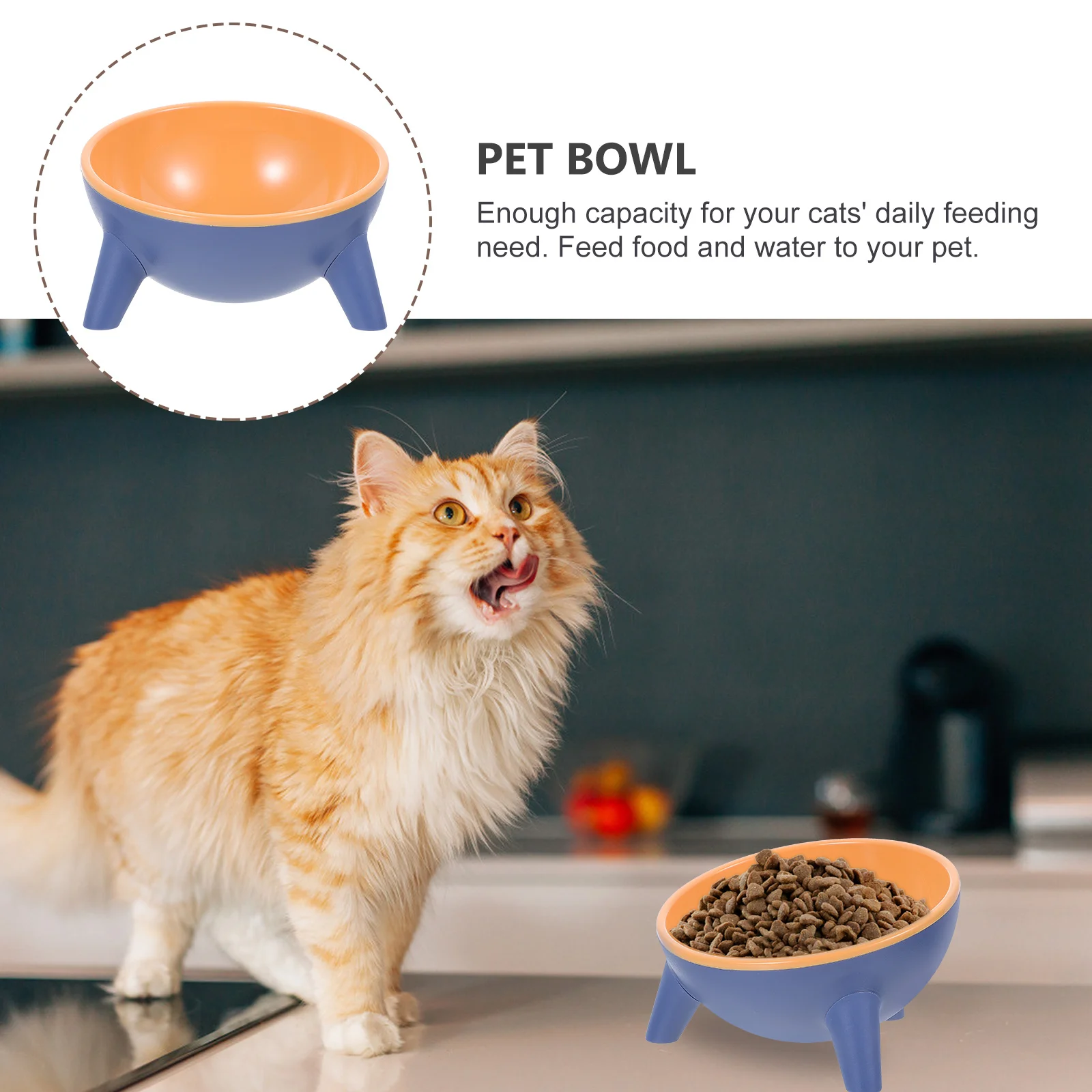 

Pet Feeding Bowl 15° Tilted Resin Base Multi-Purpose Stable Cat Feeder For Dog Water Food Anti-Slip Design Pet Supplies