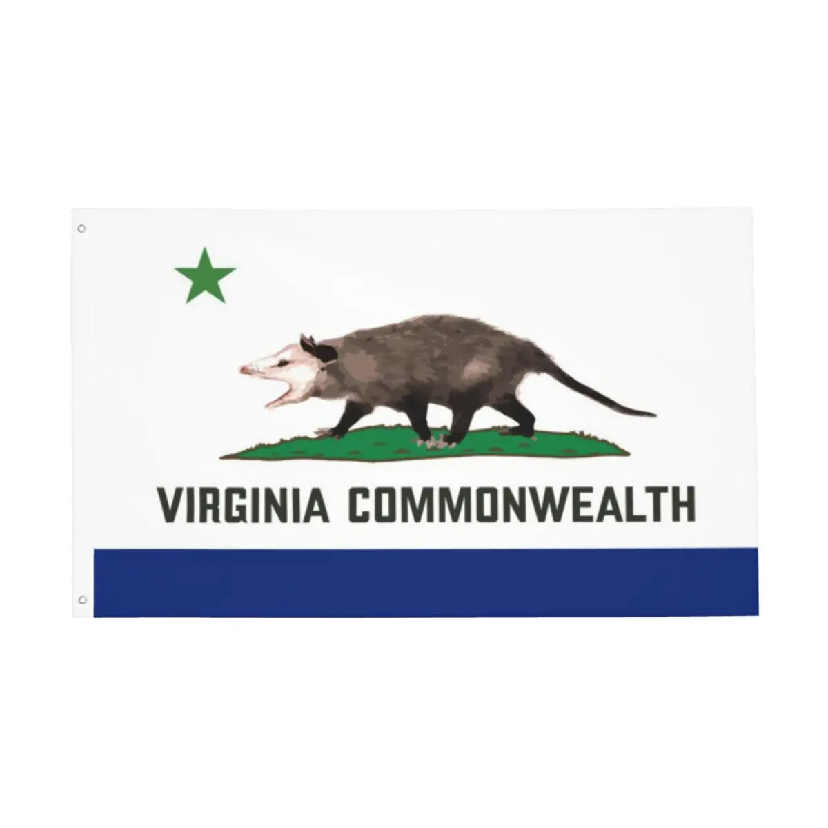 

Virginia Commonwealth Flag Decor 3x5FTModern Indoor Fade Resistant Flowy