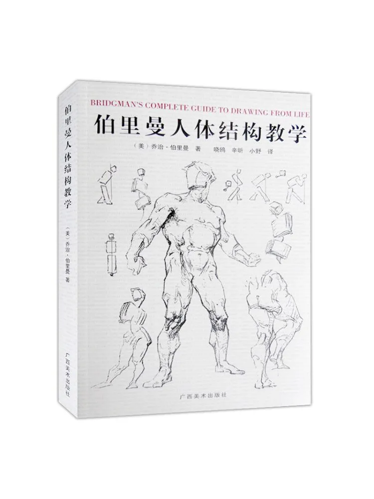

Book-Winshare Pelman Human Body Structure Painting Teaching