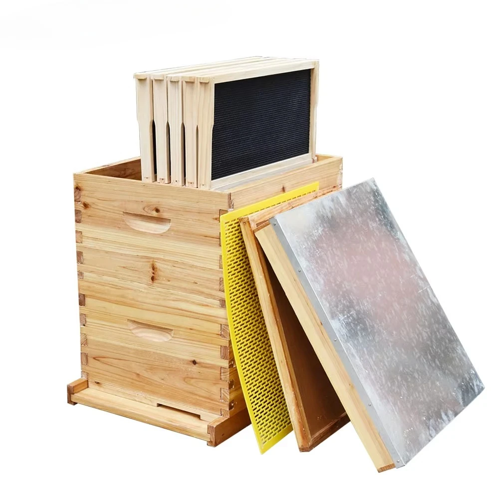 

Wholesale Bee Hives Beekeeping Wooden Langstroth Beehive with Frame