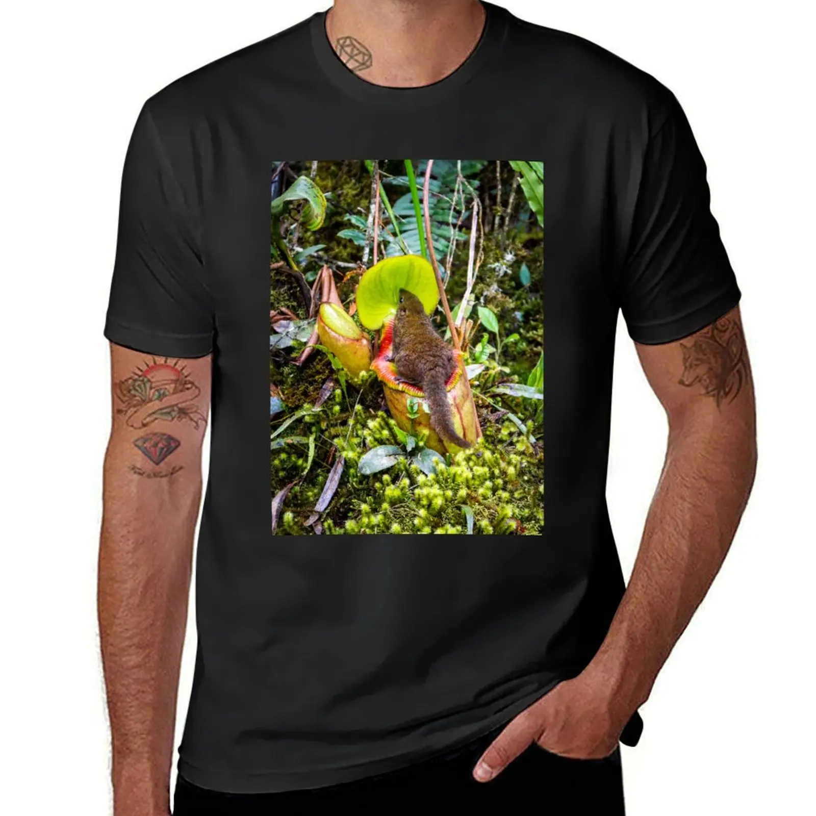 

Tree shrew on giant pitcher plant, Borneo (C038/8186) T-Shirt graphics quick drying mens t shirts casual stylish