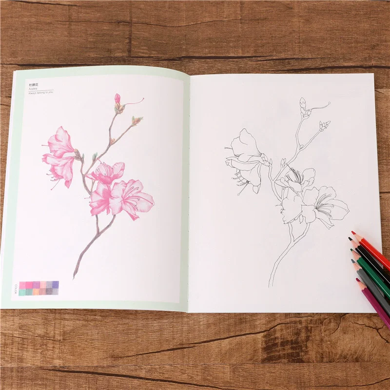 Four Seasons Flower English Coloring Book Is Easy For Everyone Botanical Art Painting Book