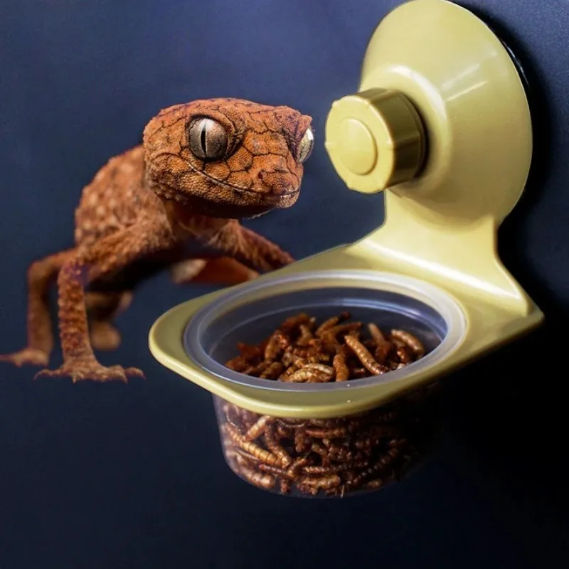 

Reptiles Double Basin Hanging Water Basin Wall Hanging Feeding Dish Bowl Suction Cup Lizards Bearded Dragon chameleons Feeder