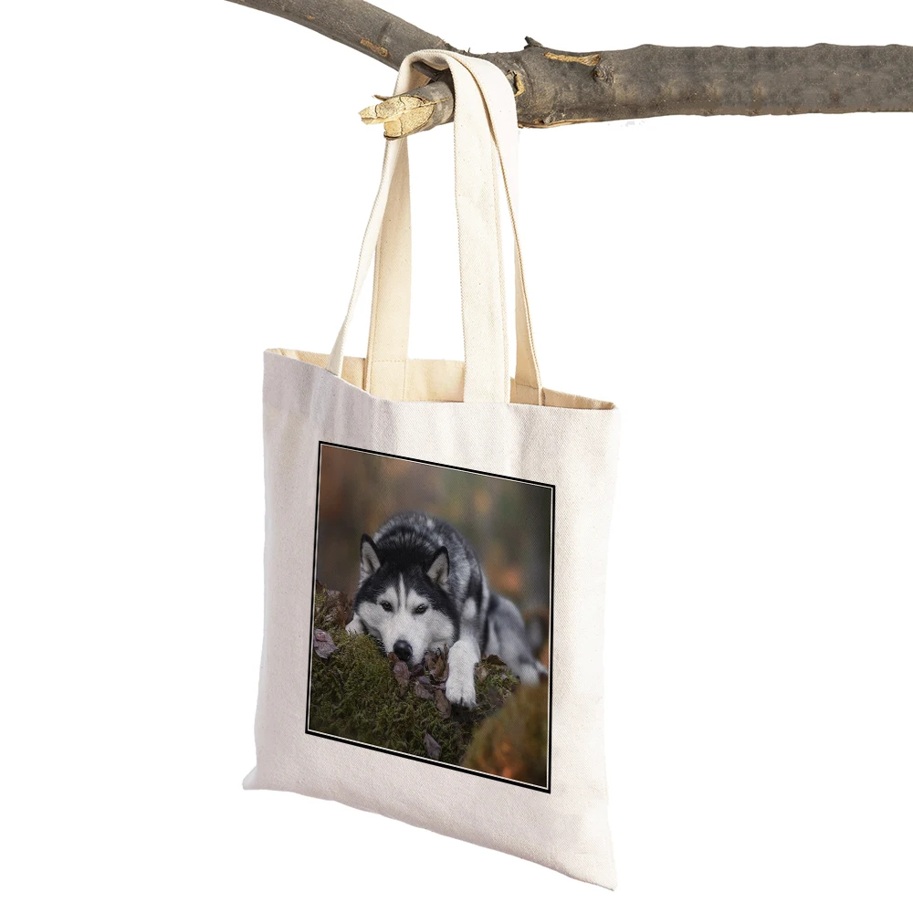 Siberian Husky Dog Canvas Shopper กระเป๋าถือ Reusable สัตว์เลี้ยงสัตว์พิมพ์คู่ Casual Tote ผู้หญิงช้อปปิ้งสำหรับซูเปอร์มาร์เก็ต