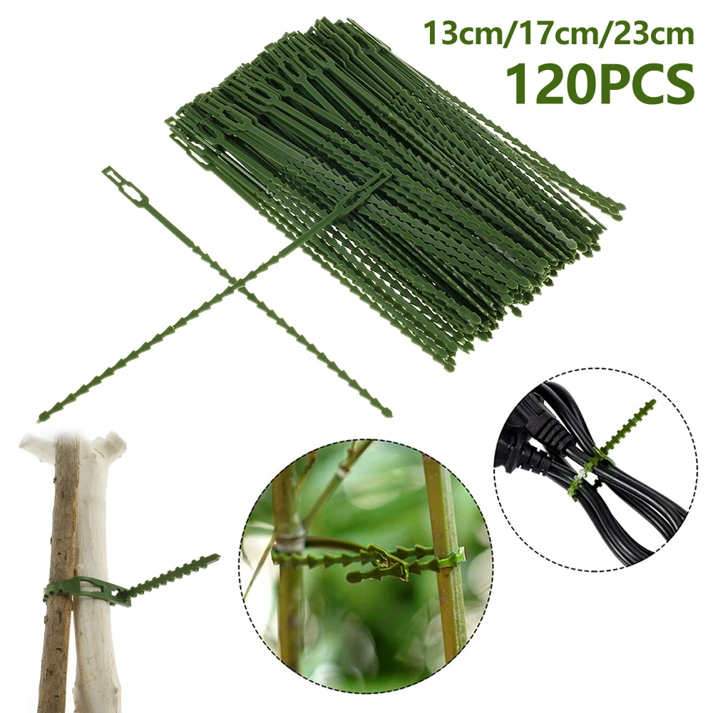 

Reusable Adjustable Plastic Plant Cable Ties Tree Climbing Support Strap Flexible Garden Accessories