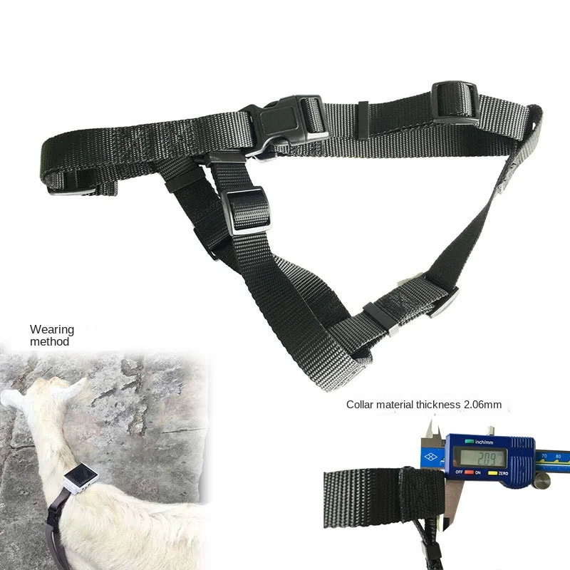 GPS Trackers collar Horse bridle textile horse dragon set lead horse bridle adjustable cattle and sheep horse head cover collar