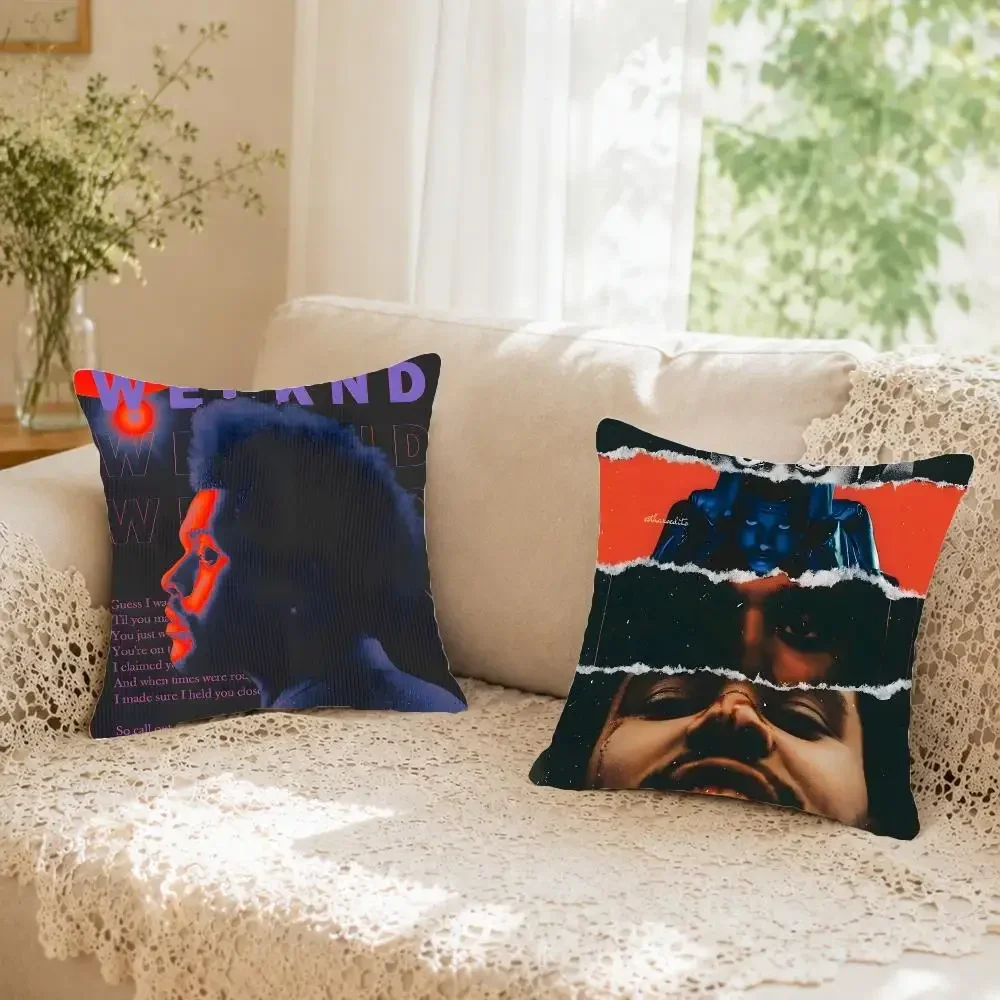 Sensual Pop Singer T-The Weeknd Cushion Cover Faux fur decorative Dark academia style Cat scratching post Rustic pillow cover