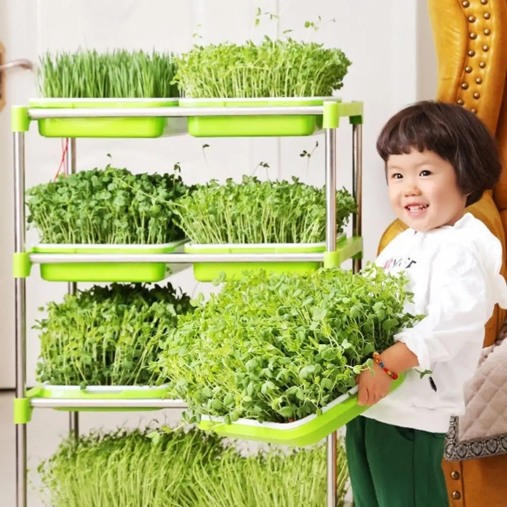 Gardening Supplies Soilless Cultivation Nursery Paper Plant Box Seed Sprouter Tray Grow Nursery Pots Sprout Pot
