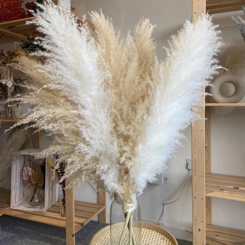 

Fluffy Large Pampas Grass Wholesale Natural Dried Flower Decor For Home Wedding Arrangement Decoration Boho Centerpieces Decor