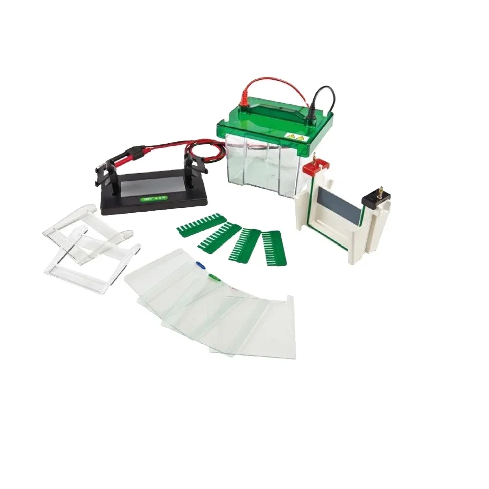 Vertical Elec.tropho.resis Cell, DW-SCZ2 + with Power Su.pply, Bioche.mi.stry Labo.ratory