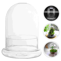 Micro Landscape Vase Glass Lid Dome Cover Moss Bottle Succulent Plants Ecological Bell Jar Terrarium Display