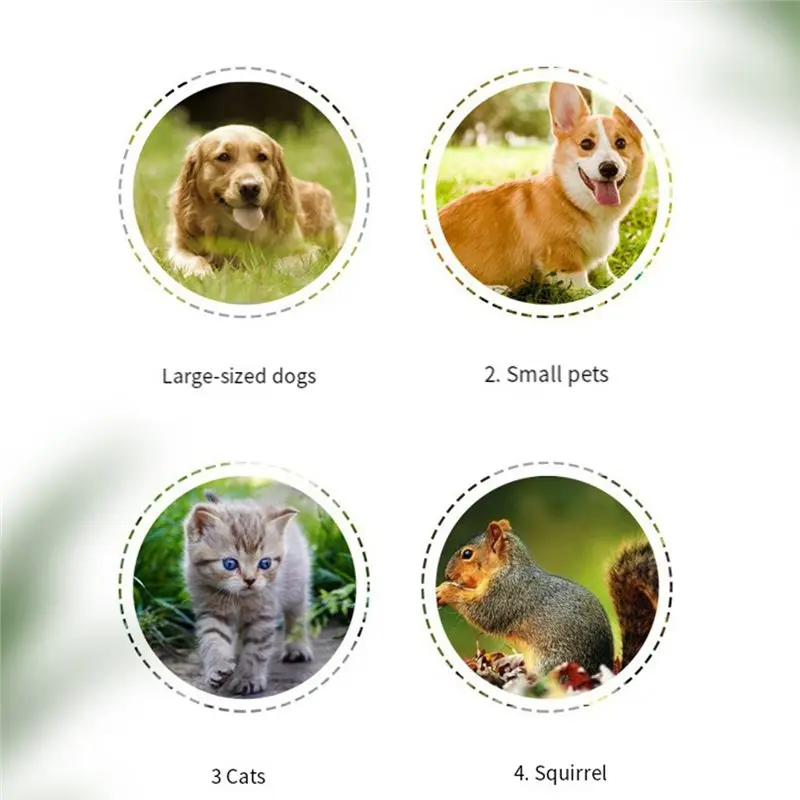 A74E-أدوات تهذيب الحيوانات الأليفة مطحنة أظافر الحيوانات الأليفة بطارية تعمل الكلب القط نموذج مسمار المتقلب الكلاب الكبيرة والصغيرة كليبرز