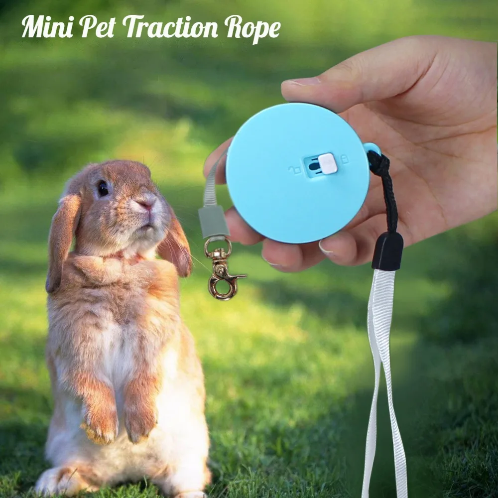 Ultimate Mini Portable Pet Traction Rope - Experience the Unmatched Thick and Hard Gum Feeling