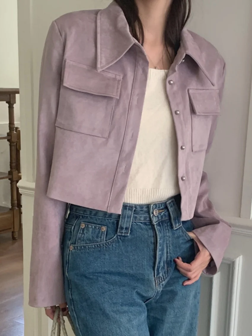 

Alien Kitty зимние женские замшевые кожаные пальто модные элегантные новые офисные женские шикарные тонкие рабочие костюмы OL повседневные куртки с длинными рукавами