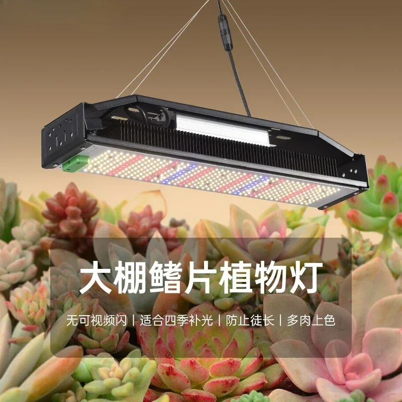 LED Plant Fill Light 50W & 240W Adjustable Sunlight Simulation Grow Lamp, Indoor Garden Plant Growth Lighting Fixture