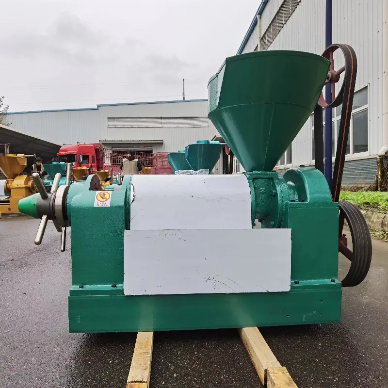 GS95 Professional High Quality Groundnut Coconut Peanut Sunflower Oil Press Machine for Sale