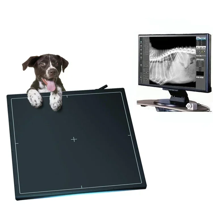 Human Veterinary Wire Flat Panel X Ray Detector For Digital Radiography