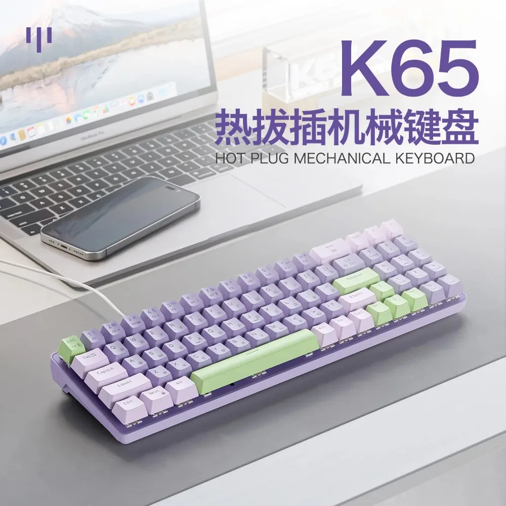 FreeWolf K65 Hot-swappable Russian Mechanical Keyboard Gasket Gaming Wired Ergonomic Office Esports Computer Peripherals Custom