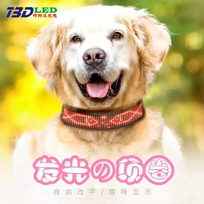 Everbright Store LED Dog Collar Luminous Collar Neck Ring Rechargeable Dog Babes Live Streaming Host Leg Rings Pet