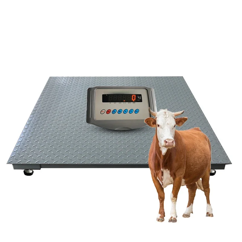 scale for livestock animal cattle cow horse