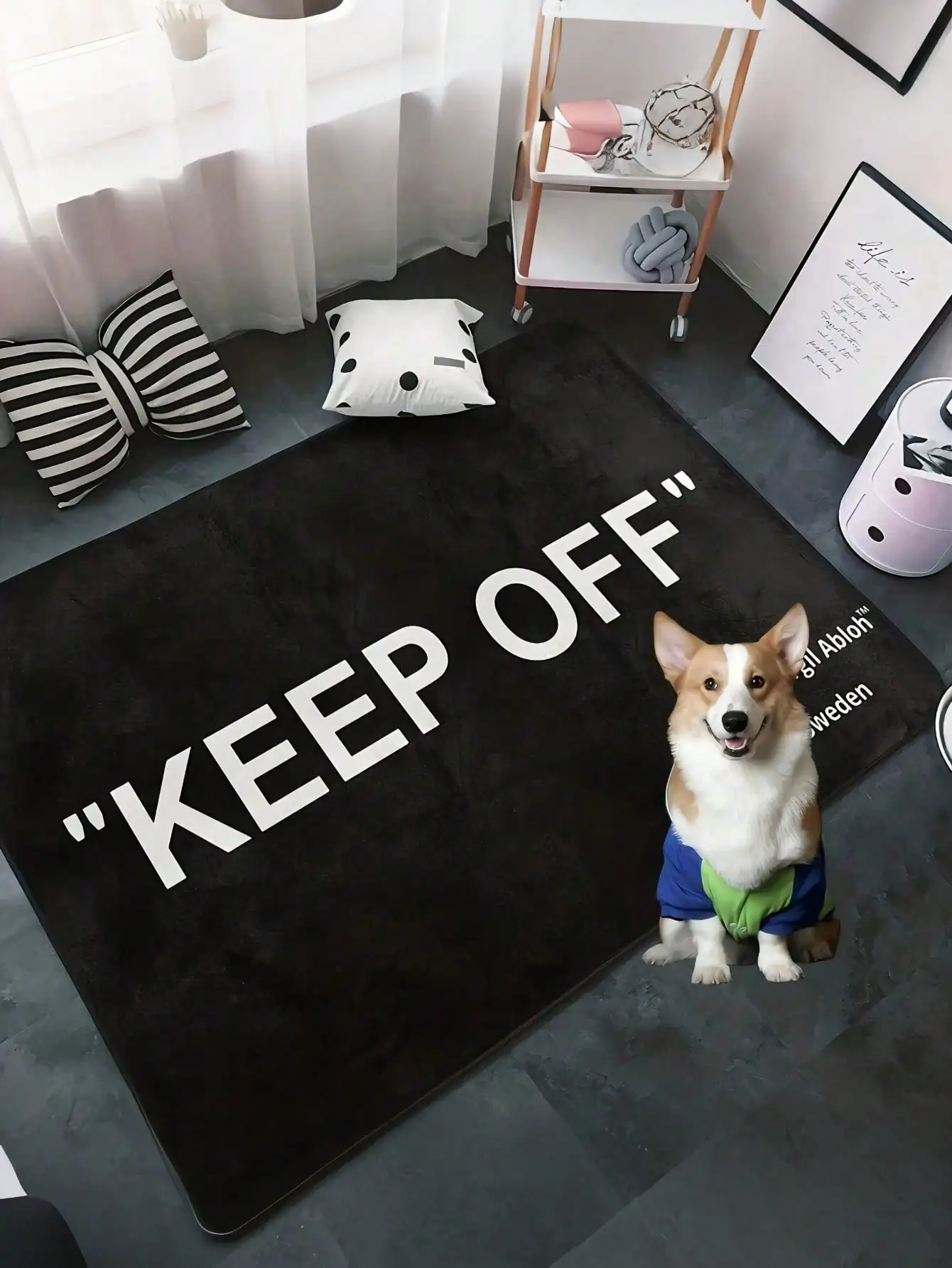

Ultra Soft Black Floor Mat with Bold White Text Design for Living Room or Bedroom