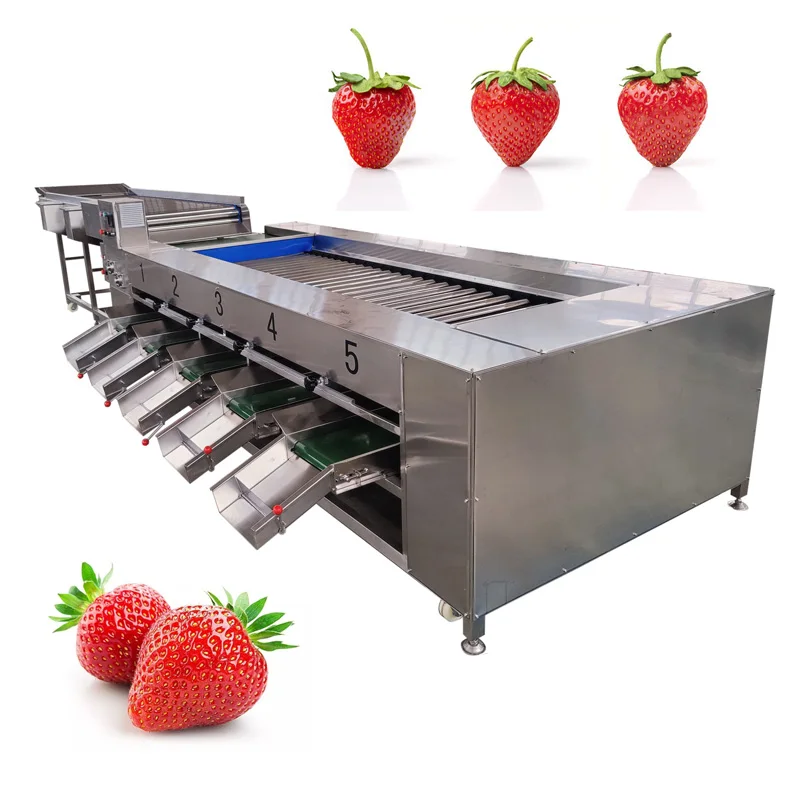 Full Automatic Fruit Vegetable Walnut Crayfish Tomato Orange  Potato Grading Sorting Machine