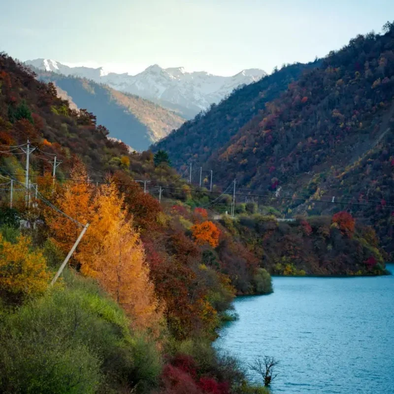 

Foxeer Wildfire 5.8GHz 72CH Dual Receiver Support OSD Firmware Update for Fatshark FPV Goggles