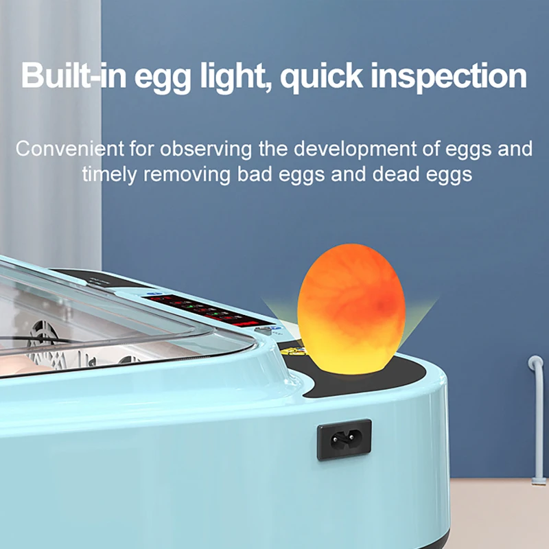 incubateur-automatique-intelligent-pour-6-œufs-de-poulet-canard-caille-–-materiel-d'elevage