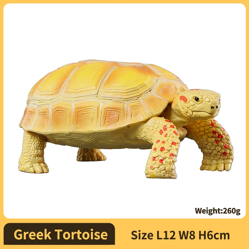PVC-schildpadfiguren Dierenvorm Gedetailleerde sculptuur Ster-schildpadmodelfiguren Actiefiguren Voor educatief doel