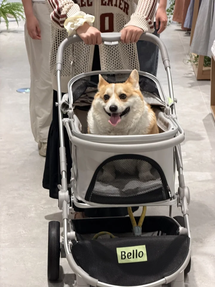 Detachable Foldable Pet Stroller Portable Luxury Aluminum Alloy Shock Absorbing Stroller For Multiple Pets