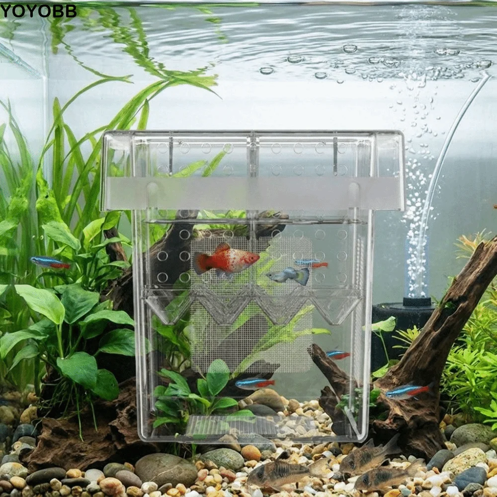 Caixa de Isolamento para Criação de Peixes Flutuante, Caixa de Criação de Aquário Destacável de Alta Transparência com Ventosa, Caixa de Criação de Guppy