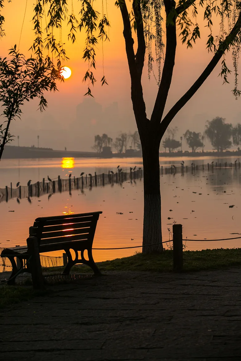 

12.1" 8+256GB Android 14.0 For Ford Explorer 2014-2019 Car GPS navigation Navigation Multimedia Playe Radio 4G WIFI