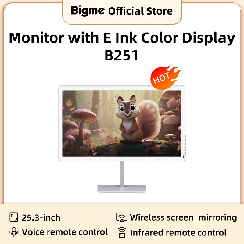 BIGME B251 Color EInk Screen Display 25.3-inch Computer monitor cold and warm light E-paper Book Reading 3K epaper PC Display