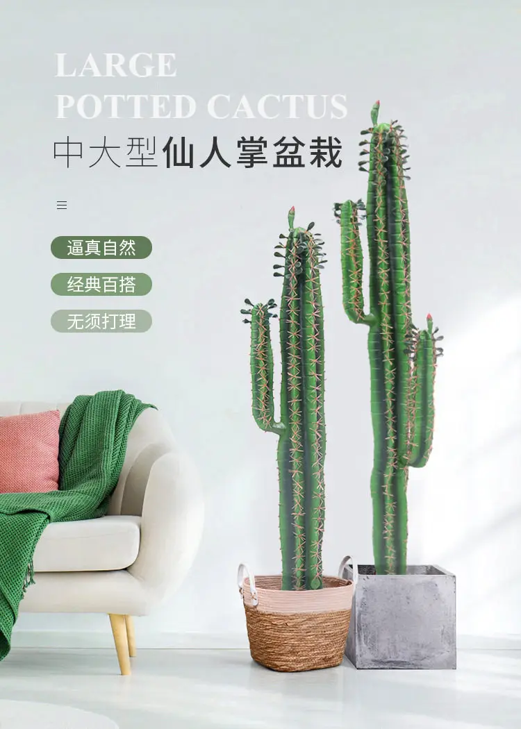Tropical Scene Decoration Bonsai False Cactus Measuring Scale Window Ornament Landscaping