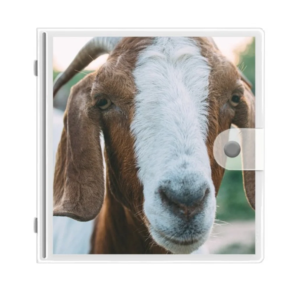 

m Sheep Animal Photography Photo Album Wallet Wedding Family 4x6