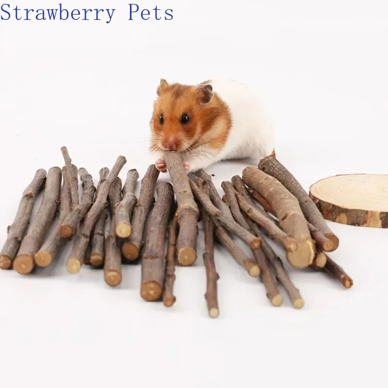 5pcs 10pcs 40pcs Chew Stick Apple Tree Branch Hamster Squirrel Natural Toys Parrots Rabbits Grinding Stick