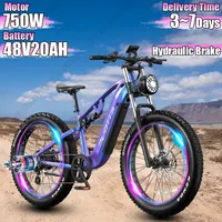 DUOTTS E-bike750W Motor 48V20AH Lithium Battery Hydraulic Brake Electric Bike Aldult 26*4.0-Inch Fat Tire Snow Electric Bicycle
