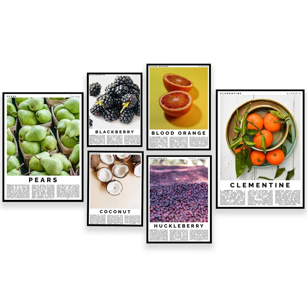 Coco, uvas, fruta del dragón, cantaloupe, naranja sangre, kumquat, mora, ciruela, pera, manzana, arte de la fruta, cartel de decoración de cocina
