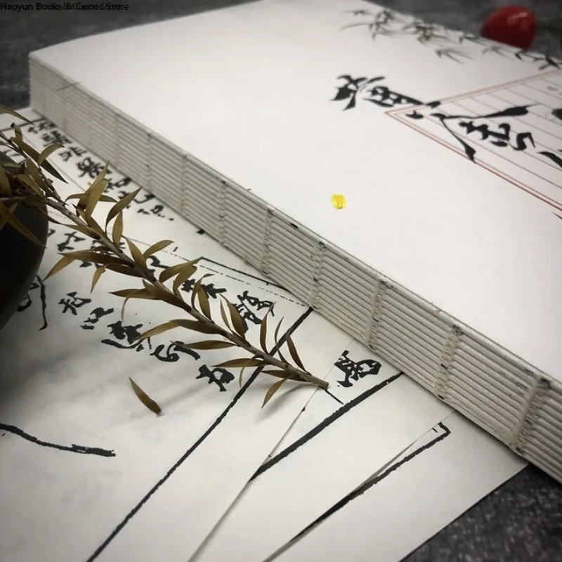 BL، هوانغ جين تاي، كانغ وو بن باي