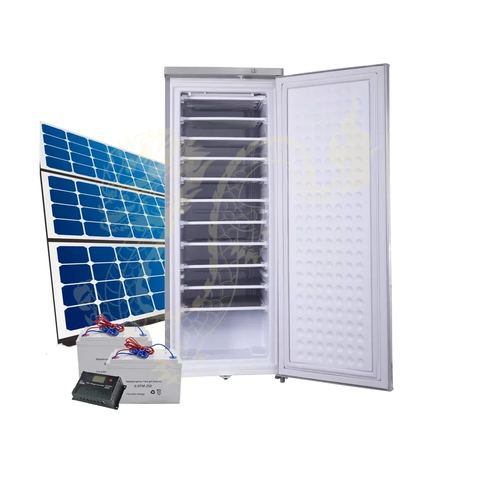 198liter Solar Powered Freezer for Commercial Use