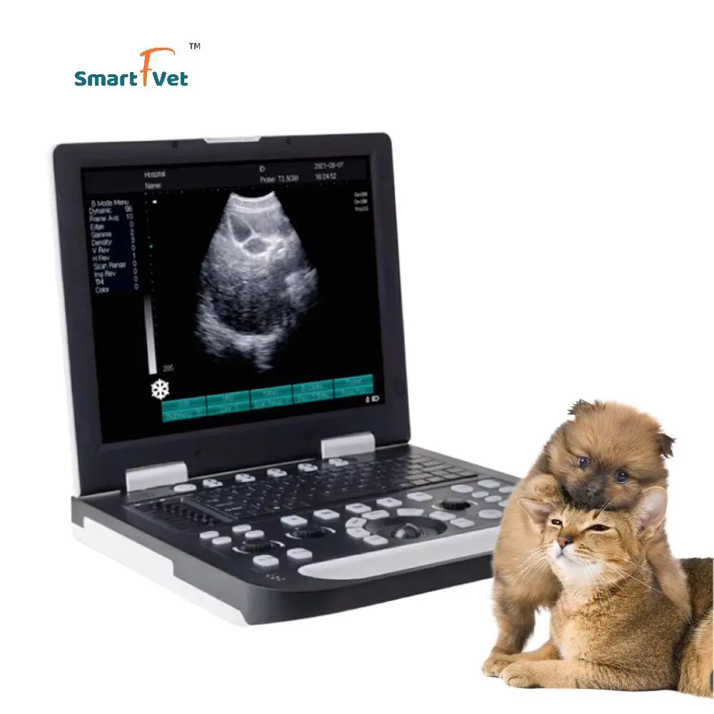 Smart F Vet SImply Operate Veterinary Portable Ultrasound Machine Laptop Ultrasound Scanner