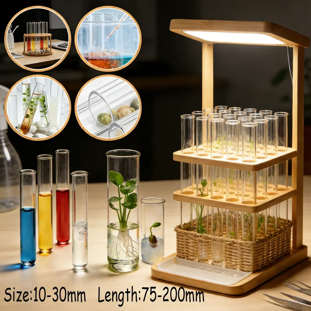 

5pcs Borosilicate Round Bottom Test Tubes, Heat Resistant Glass Vials for Plant Propagation, Hydroponics & Science Projects