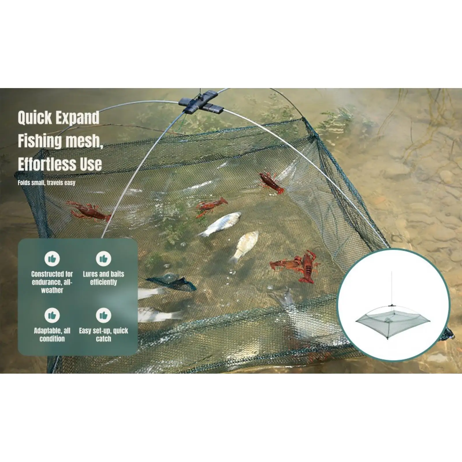 Umbrella Design Tra…