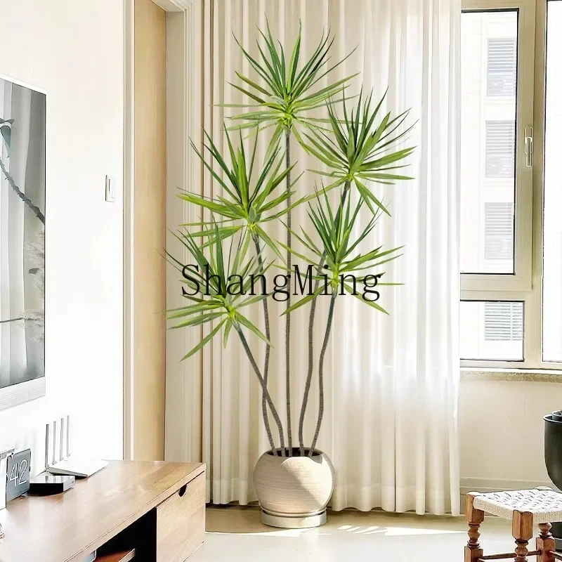 

CLL potted green plants indoor large living room large bonsai multi-headed dragon iron tree asparagus simulation office plant